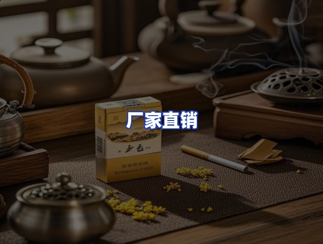 专业团队